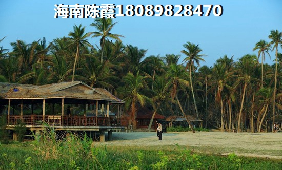 三亚珠江南田57°房价上涨还是下降？